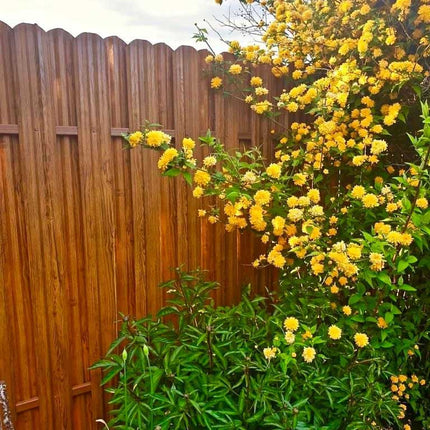 Recinzione Modulare | Steccato TISA | Quercia Striata | Effetto Legno Doppio