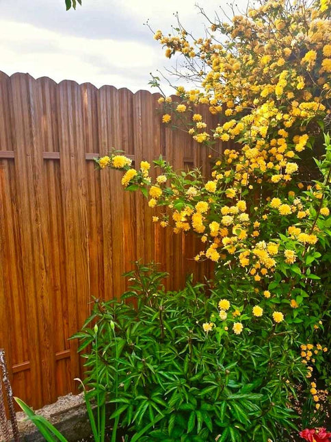 Recinzione Modulare | Steccato TISA | Quercia Striata | Effetto Legno Doppio