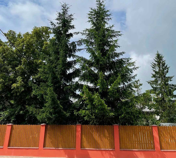 Recinzione Modulare | Steccato TISA | Quercia Striata | Effetto Legno Doppio | IN ACCIAIO ZINCATO